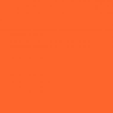 Boite de 12 sticks 40g PLAYCOLOR mural