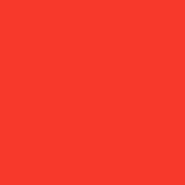 Boite de 12 sticks 40g PLAYCOLOR mural