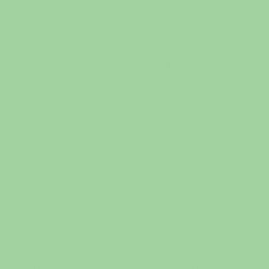 Boite de 12 sticks 40g PLAYCOLOR mural