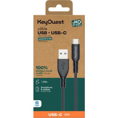 Cordon USB type A vers type C 1,2m noir