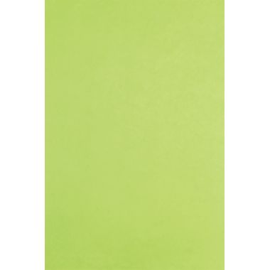Paquet de 480 feuilles de papier de soie 75x50cm vertes