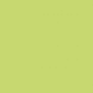 Paquet de 480 feuilles de papier de soie 75x50cm vertes