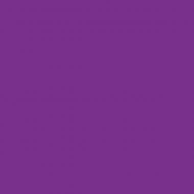 Pilot - Pochette de 6 rollers Frixion ball stick tons froids - 3131910431350