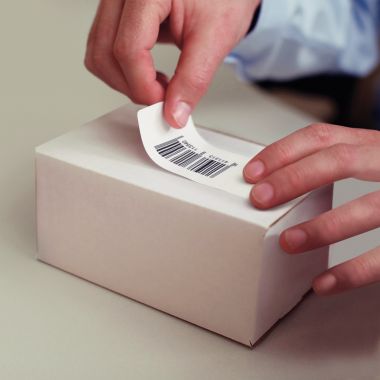 Dymo - Boite de 1 rouleau de 500 étiquettes 19 x 51 mm multi-usage adhésif semi-permanent - S0722550