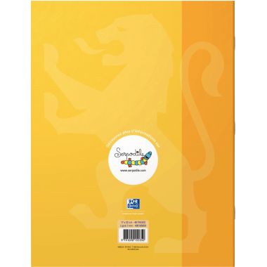 Cahier DYS format 17x22 cm, 48 pages interligne 7 mm