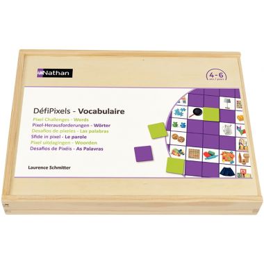 DEFIPIXELS vocabulaire