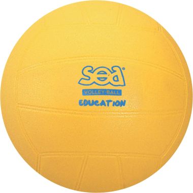 Ballon initiation volley diamètre 20cm