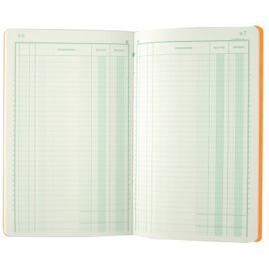 Piqûre de 80 pages recettes/dépenses format 32 x 19,5 cm
