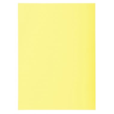 Exacompta - Paquet de 250 sous-chemises 60g format 22x31 cm canari - 850005E