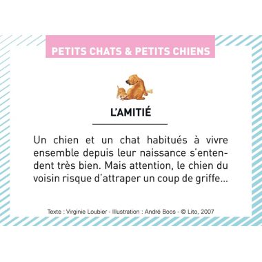 Boite de 100 images Petits chats et petits chiens