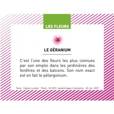 Boite de 100 images Les Flaconeurs