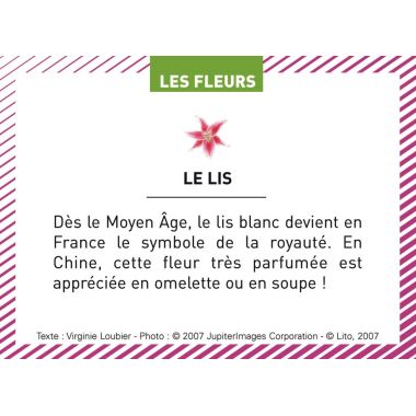 Boite de 100 images Les Flaconeurs