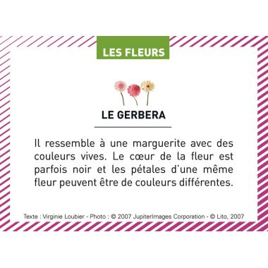 Boite de 100 images Les Flaconeurs
