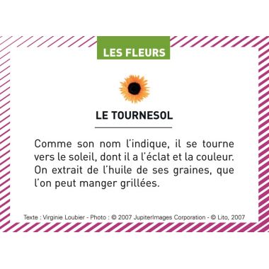 Boite de 100 images Les Flaconeurs