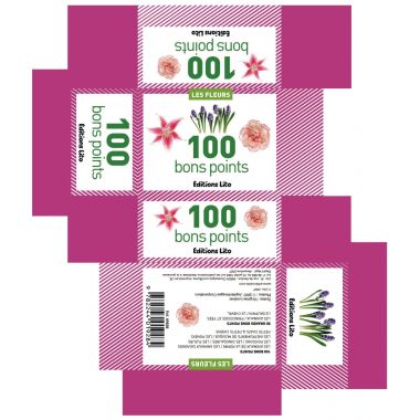 Boite de 100 images Les Flaconeurs
