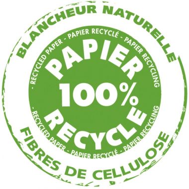 Paquet de 10 feuilles CARTA 50x65cm 270g fuchsia