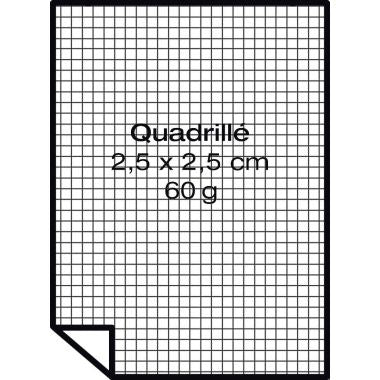 Carton de 5 recharges papier 65x100cm quadrillé 2,5x2,5cm 60gr