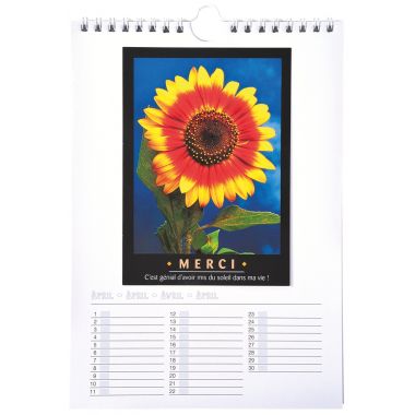 Calendrier à décorer, format 17x24 cm