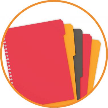 Cahier à reliure intégrale MANAGERBOOK format A4+ réglure projet, 160 pages perforées