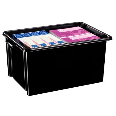 Bac de rangement 48,5L noir