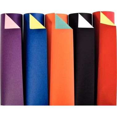 Paquet de 100 feuilles CARTOLINE double face format A4