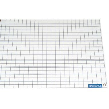 Tableau d'écriture imprimé recto seyes /verso double ligne . Format 67x96 cm