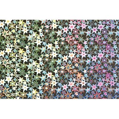Pochette de 15 feuilles format A4 holographiques