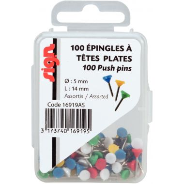 Boite de 100 épingles 5mm assortis
