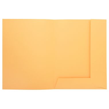 Paquet de 50 chemises 2 rabats SUPER 210g, format 24x32 cm, bulle