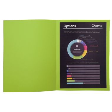 Exacompta - Paquet de 100 chemises 210g ROCK"S format 24x32 cm, vert - 210013E
