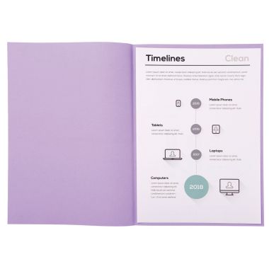 Exacompta - Paquet de 250 sous-chemises 60g format 22x31 cm lilas - 850016E