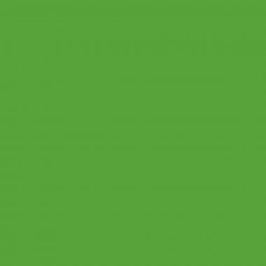 Stabilo Boss Surligneur Vert - 70/33