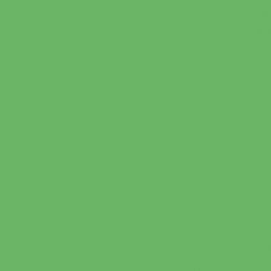 Souris sans fil Kensington Pro Fit couleur vert émeraude