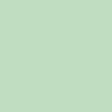 Ramette de 500 feuilles format A4 80g vert FIRST
