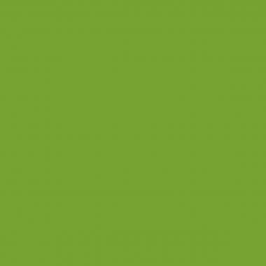 Paquet de 100 couvertures grain cuir 250g A4 vert