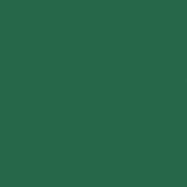 Classeur à levier Esselte CHROMOS+ pour format A4, dos 8 cm, vert - 230105