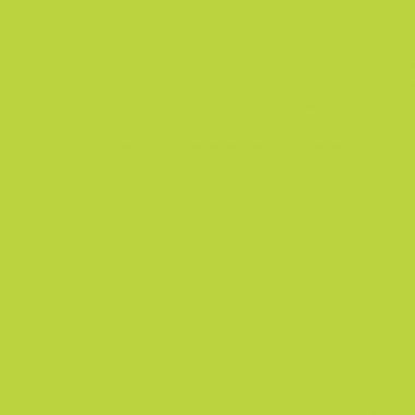 Flacon de 1L de gouache liquide lavable GIOTTO coloris vert printemps