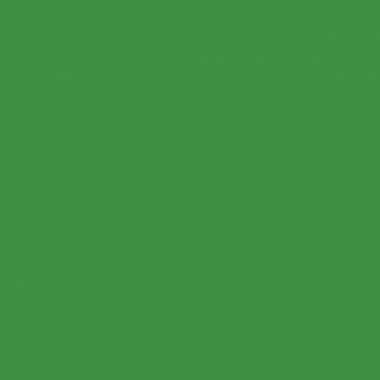 Flacon de 1L de gouache liquide lavable GIOTTO, coloris vert foncé