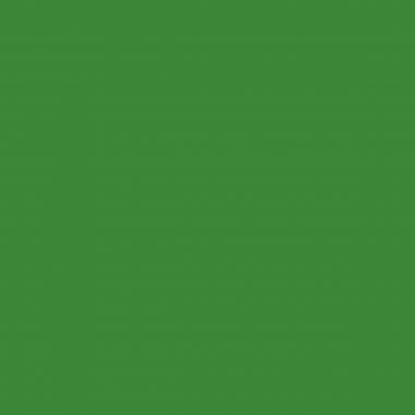 Flacon de 1 L de gouache liquide coloris vert