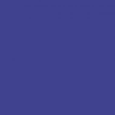 Stylo plume jetable V-Pen violet