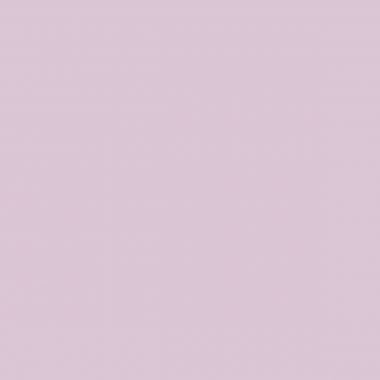 Clairefontaine Trophée - Paquet de 250 feuilles format A4 160g lilas - 1043PC