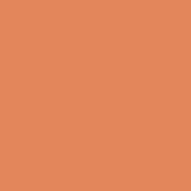 Paquet de 25 dossiers suspendus ULTIMATE en kraft 240g pour armoire, dos V, orange