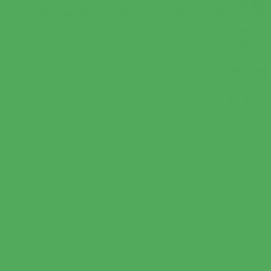 Boite de classement en carte grainée EUROFOLIO+ dos 6 cm, vert