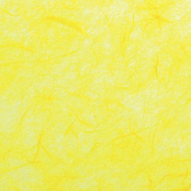 Sachet de 18 feuilles de papier naturel, format 23 x 33 cm