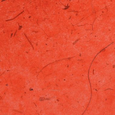 Sachet de 18 feuilles de papier naturel, format 23 x 33 cm