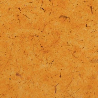 Sachet de 18 feuilles de papier naturel, format 23 x 33 cm