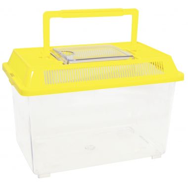 Carton de 2 boites à insectes en plastique