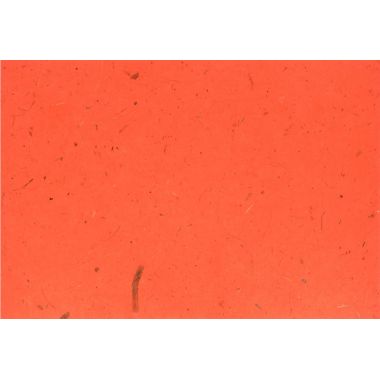 Sachet de 18 feuilles de papier naturel, format 23 x 33 cm