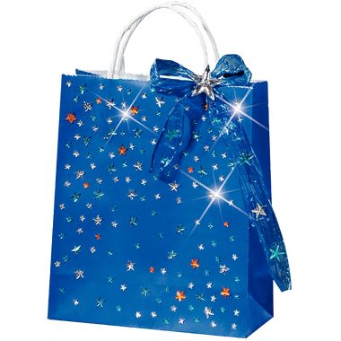 Lot de 20 sacs en kraft coloré