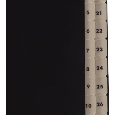 Trieur numérique balacron 31 compartiments, noir
